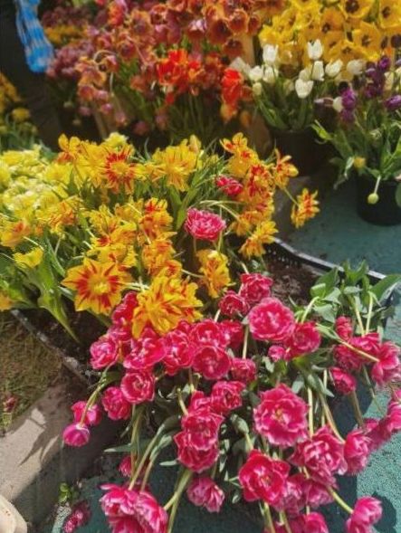 Bouquet