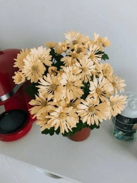 Corporate floral installation